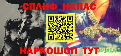 ГАЛЛЮЦИНОГЕННЫЕ ГРИБЫ Свободный