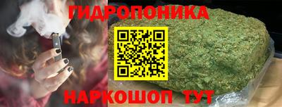 ГАЛЛЮЦИНОГЕННЫЕ ГРИБЫ Свободный