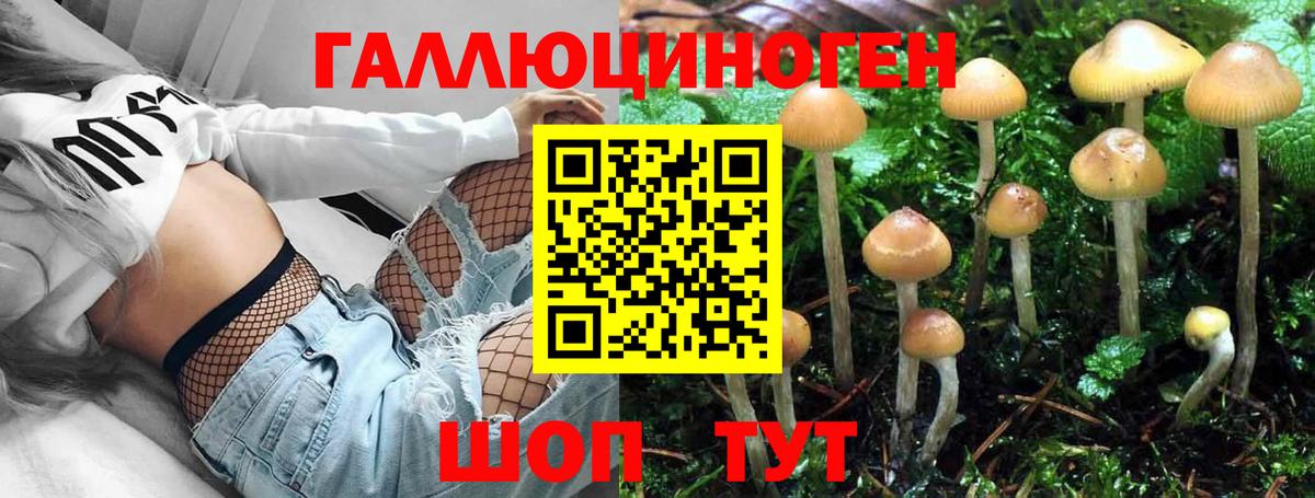 Псилоцибиновые грибы MAGIC MUSHROOMS  Галлюциногенные грибы MAGIC MUSHROOMS  Ноябрьск  Вход с VPN 